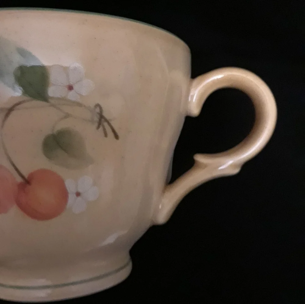 Mikasa classic Ceramic Mug with Cherry Motif. Garden  Glow design